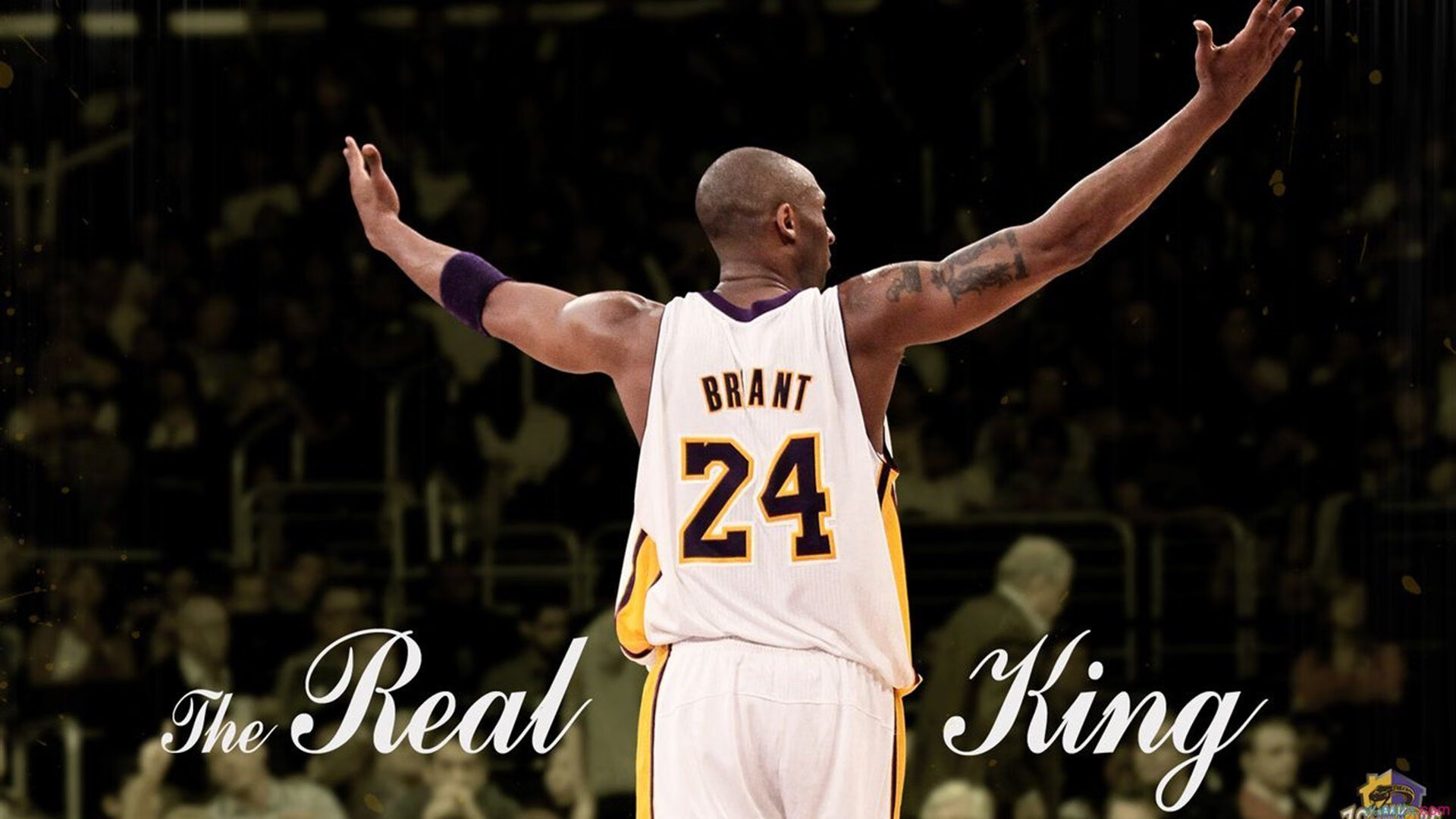 体育新闻中心推动智慧体育场馆数字内容升级,体育场馆数字化